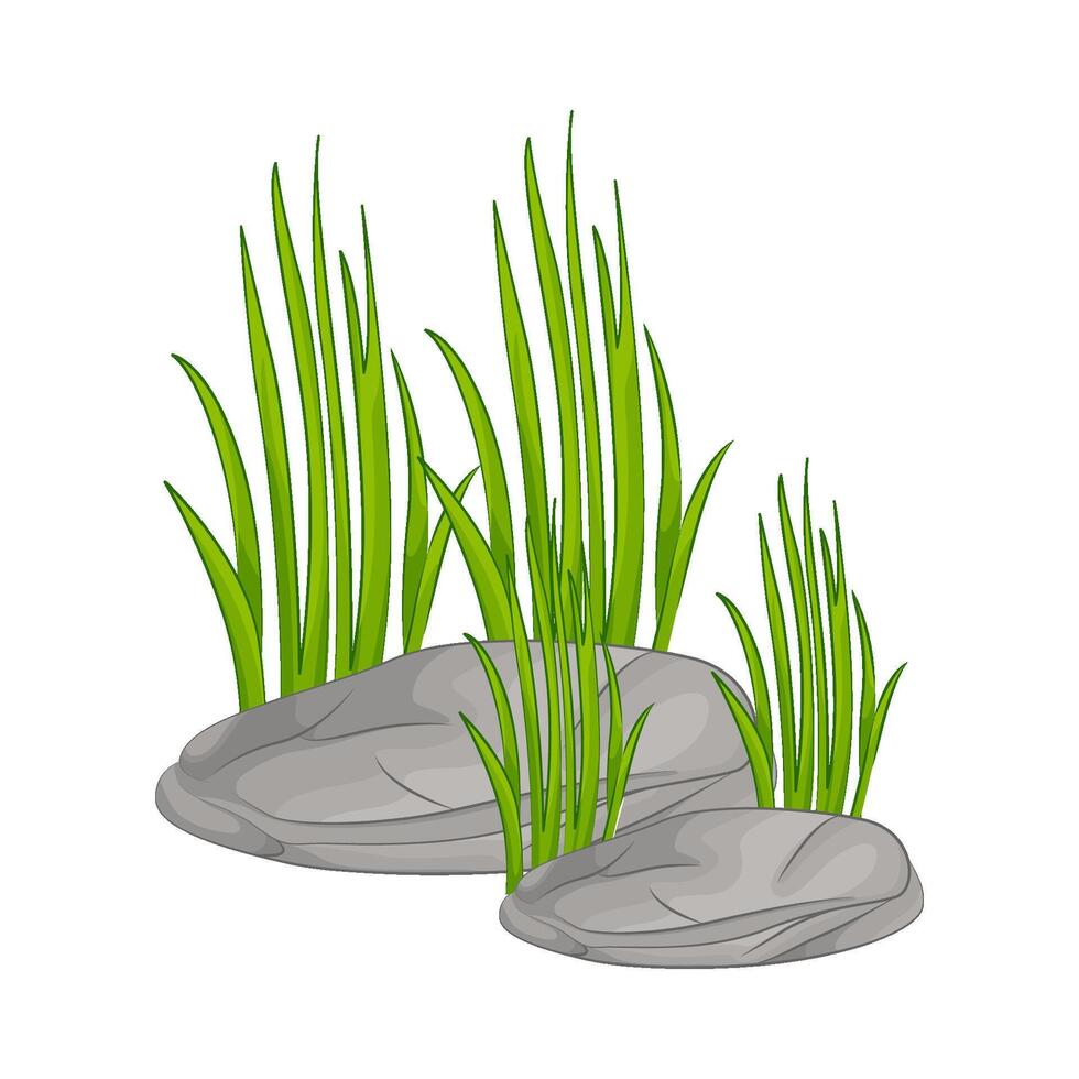 Illustration of grass vector