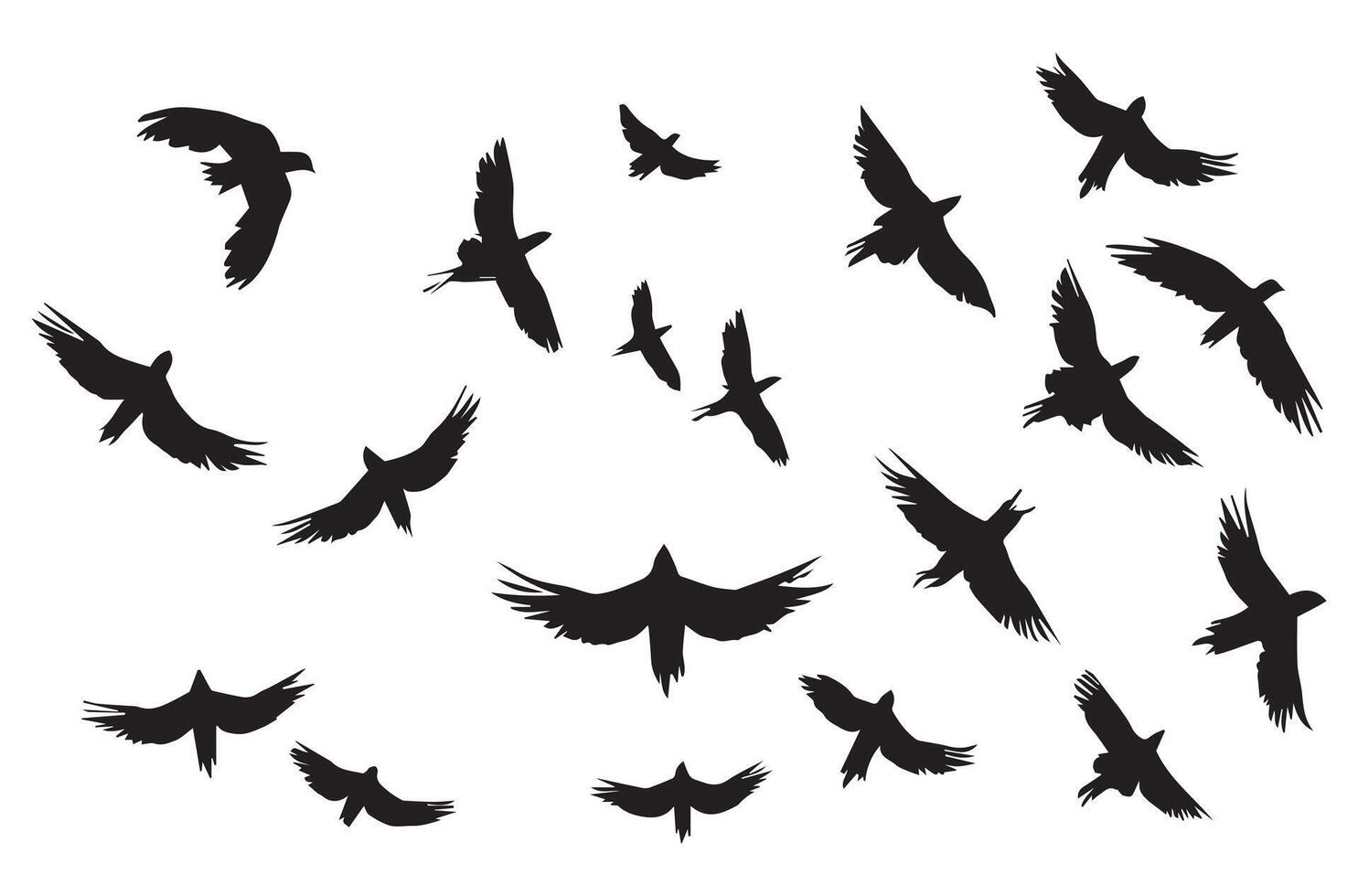 flying birds silhouette set flying birds icon set Set of flying birds silhouettes vector