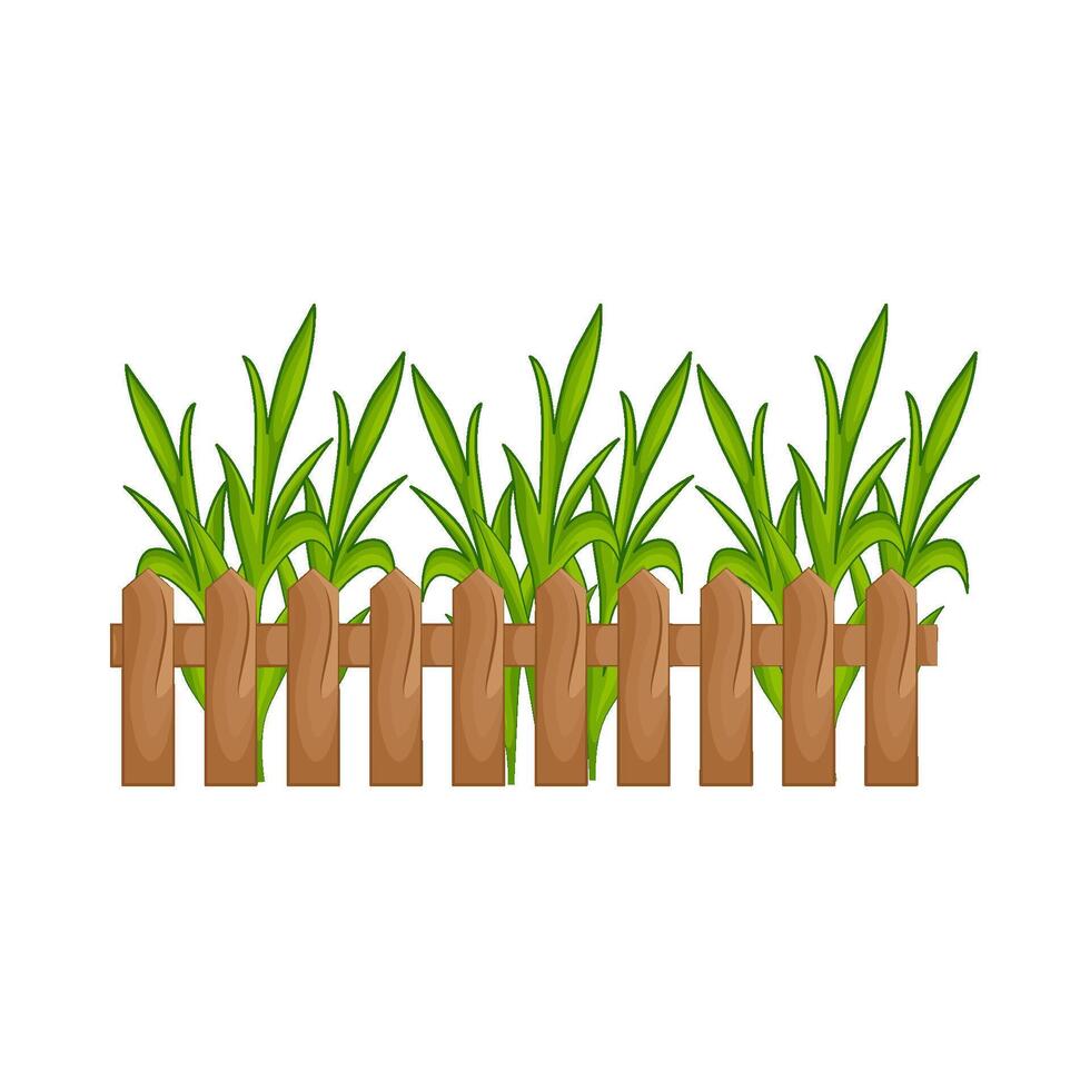 Illustration of grass vector