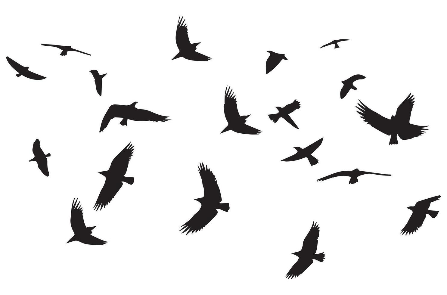 flying birds silhouette set flying birds icon set Set of flying birds silhouettes vector