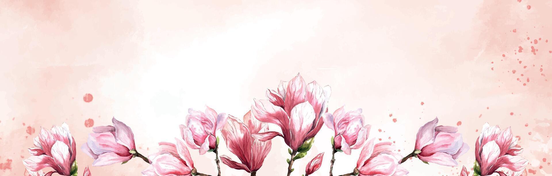 Fresco magnolia flor botánico acuarela ilustración floral diseño pétalos floreciente primavera tropical rosado hermosa planta frontera antecedentes modelo vector