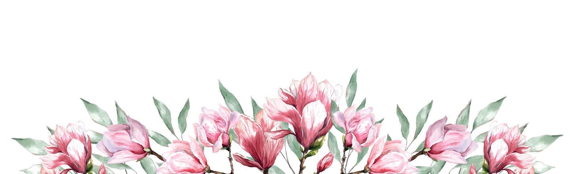 Fresco magnolia flor botánico acuarela ilustración floral diseño pétalos floreciente primavera tropical rosado hermosa planta frontera antecedentes modelo vector