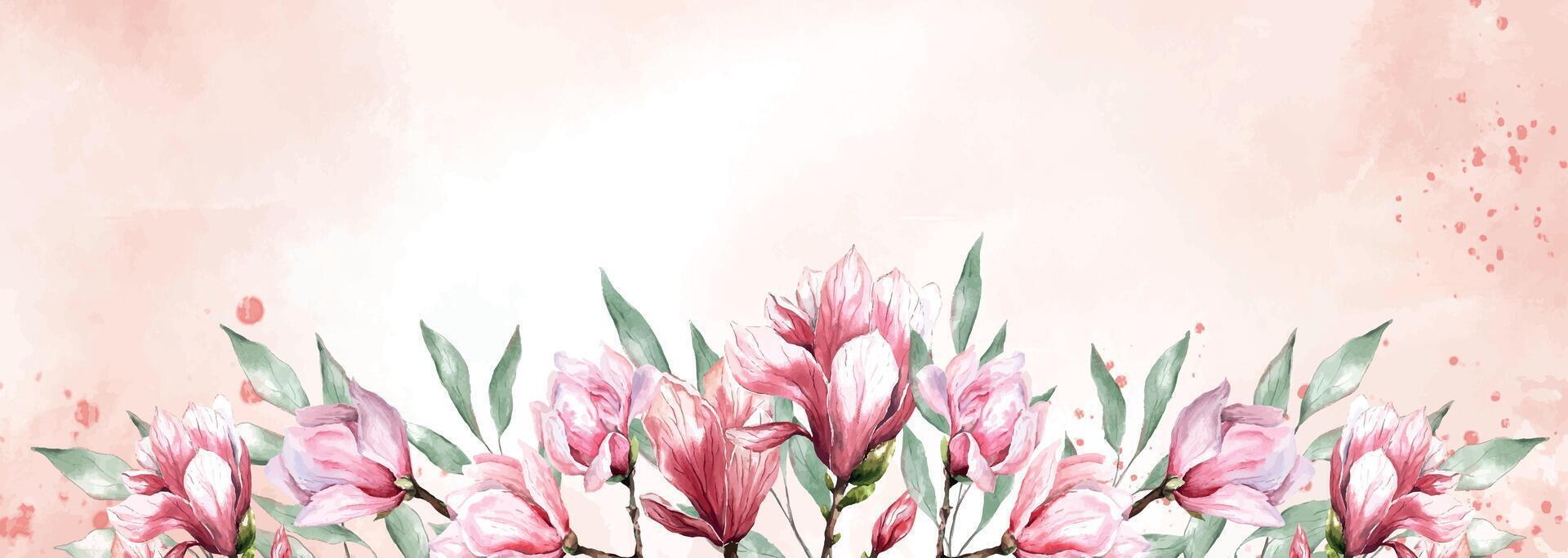 fresh magnolia flower botanical watercolor illustration floral design petals blooming spring tropical pink beautiful plant border background template vector