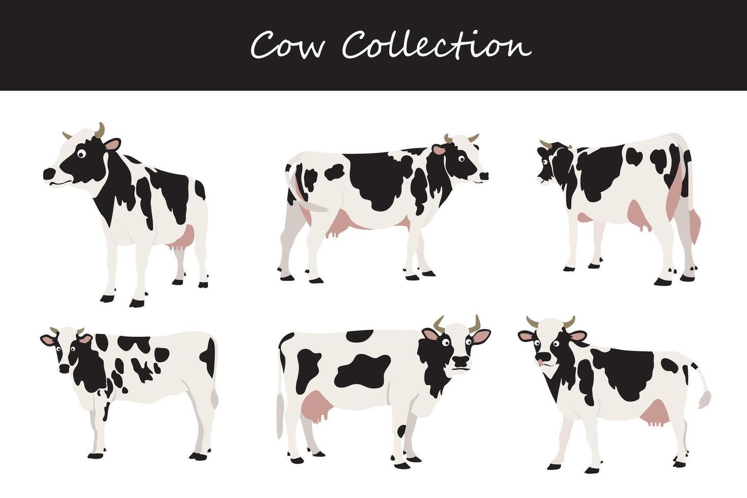 Cows collection. Cows in different poses vector