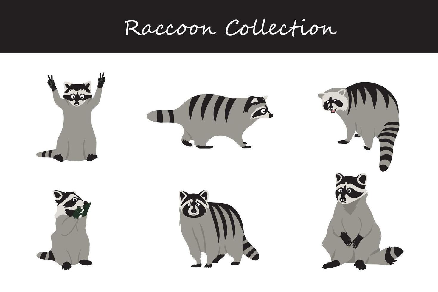 Raccoon collection illustration. Isolated on white background. vector