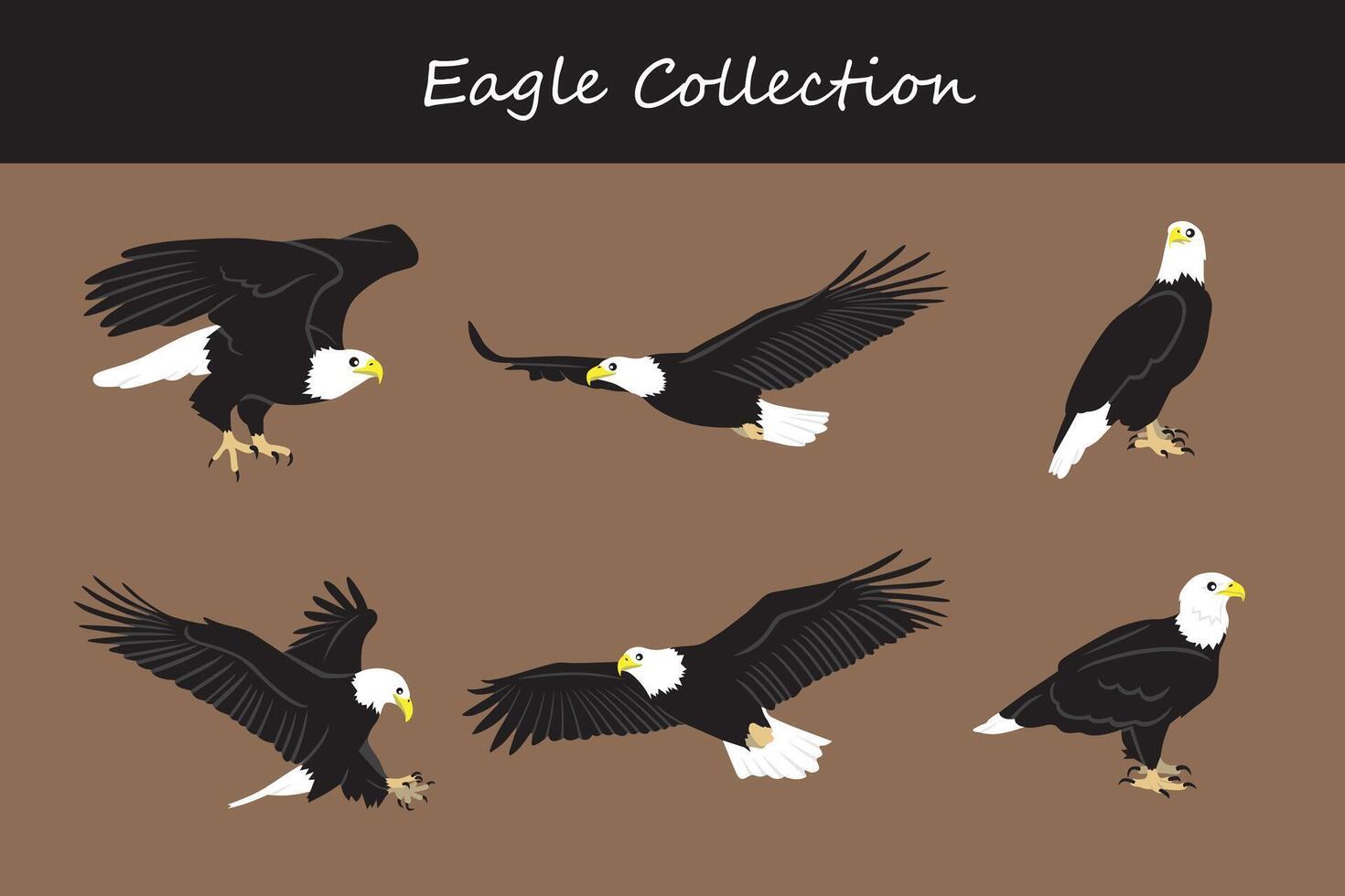 eagle collection. illustration. Isolated on white background. vector
