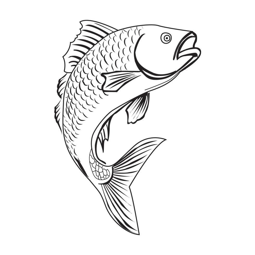 unique fish design vector