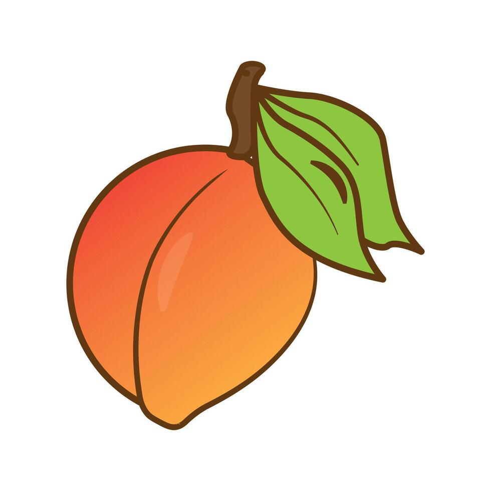 Organic flat fruit vector