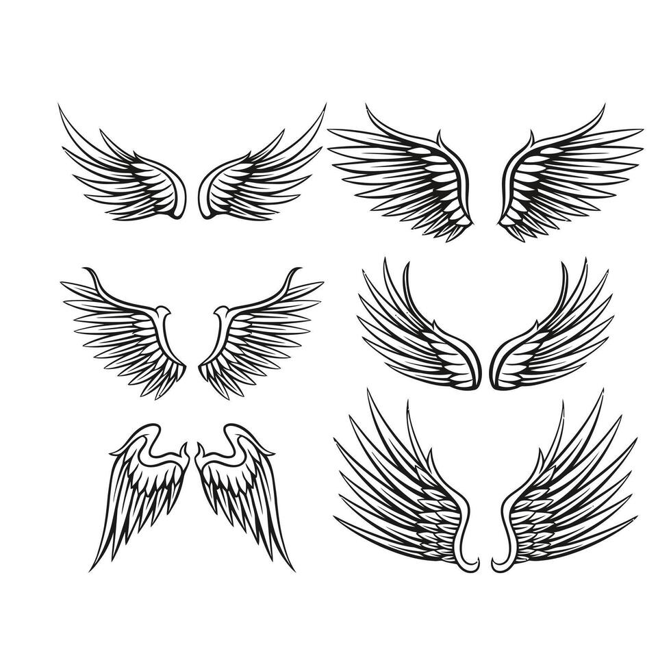 Illustration of wings collection set vector