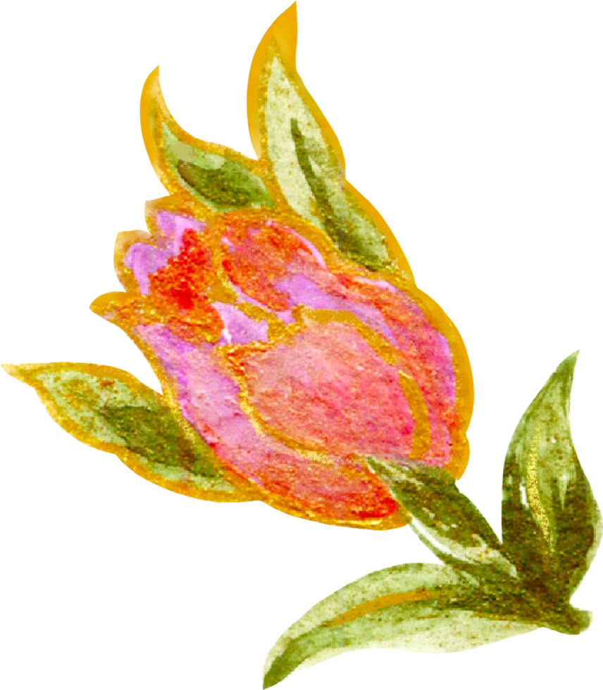 Rose Elemente isoliert Luxus Aquarell png