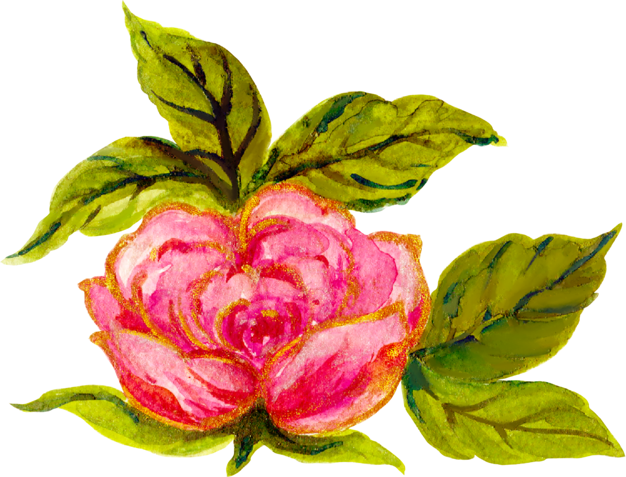 Rose Elemente isoliert Luxus Aquarell png