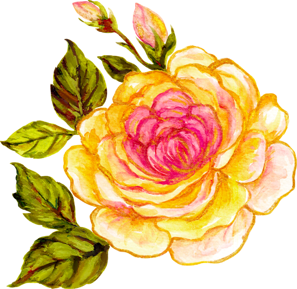 Rose éléments isolé luxe aquarelle png