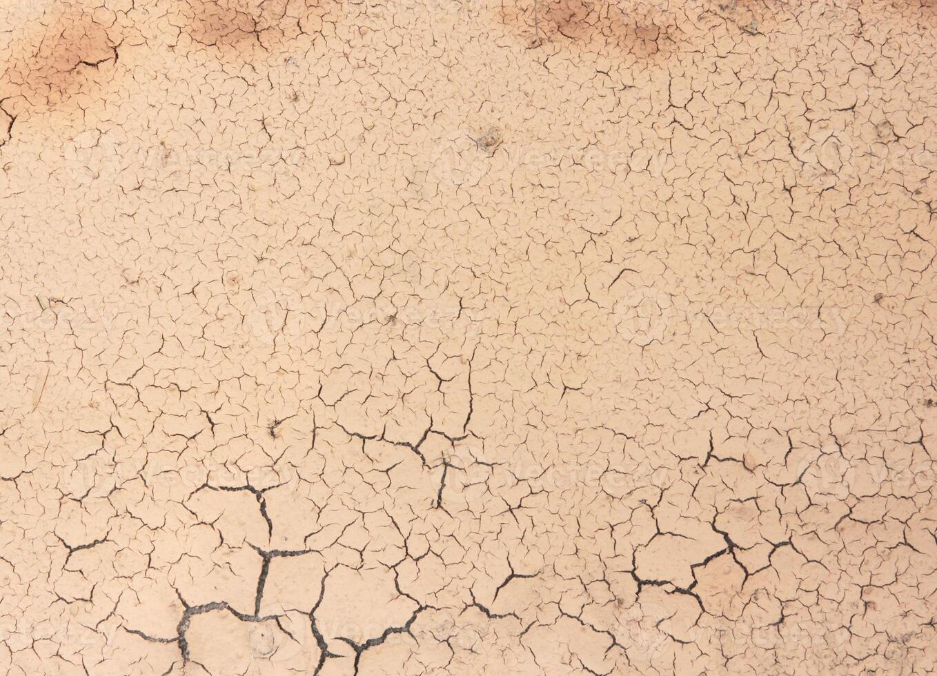 The ground is dry and cracked photo