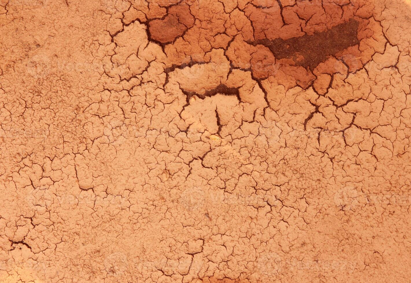 The ground is dry and cracked photo