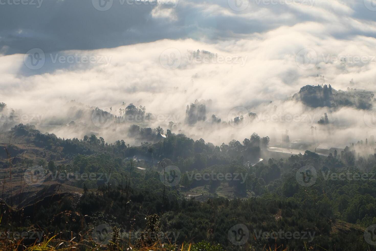 Cloudscape Wonderland, Mountain Peaks Above Clouds, Enchanting Forest Below photo