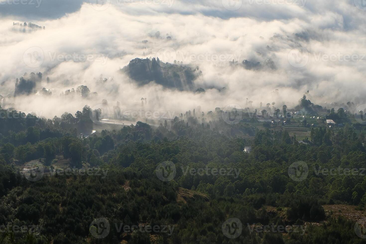 encima el nubes, majestuoso montaña parte superior puntos de vista con maravilloso bosque paisaje foto