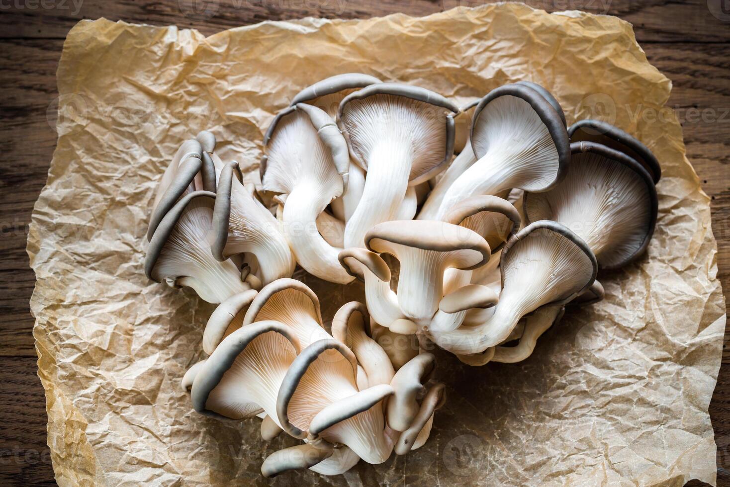 Oyster mushrooms clsoeup photo