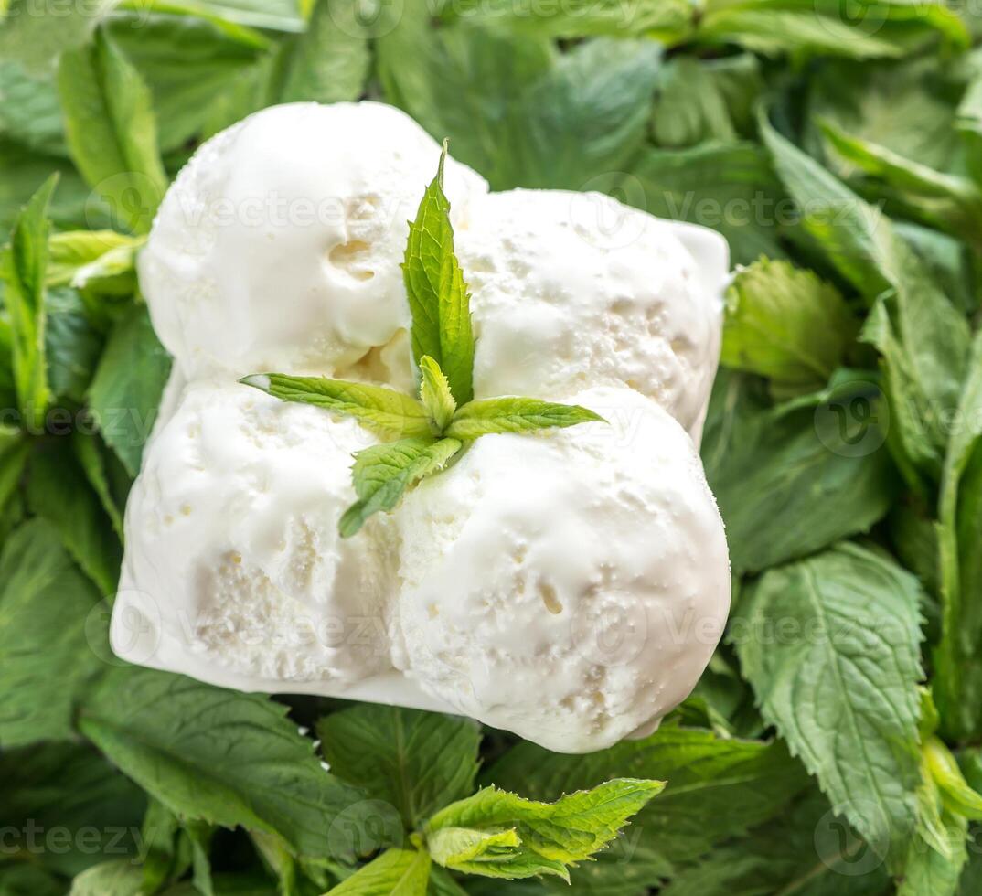 Vanilla ice cream in mint photo