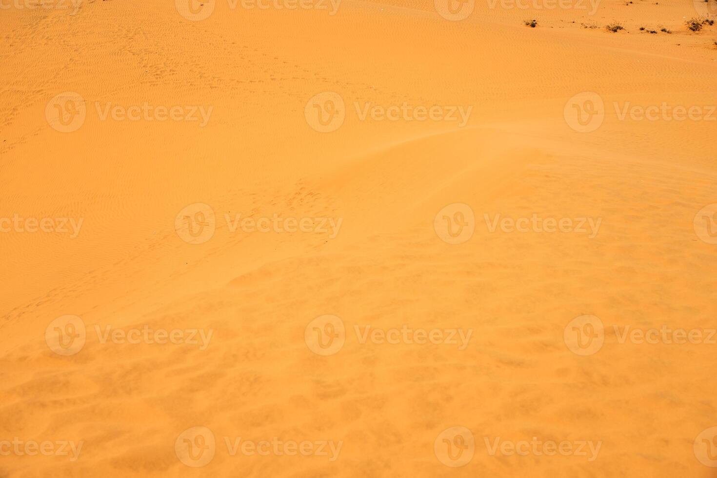 The texture of sand in the desert as a natural background. photo