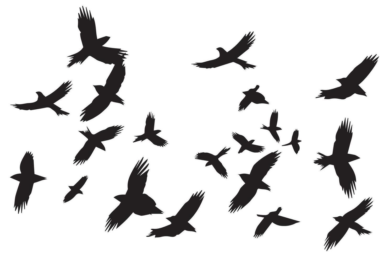 Flying birds silhouettes illustration white background vector