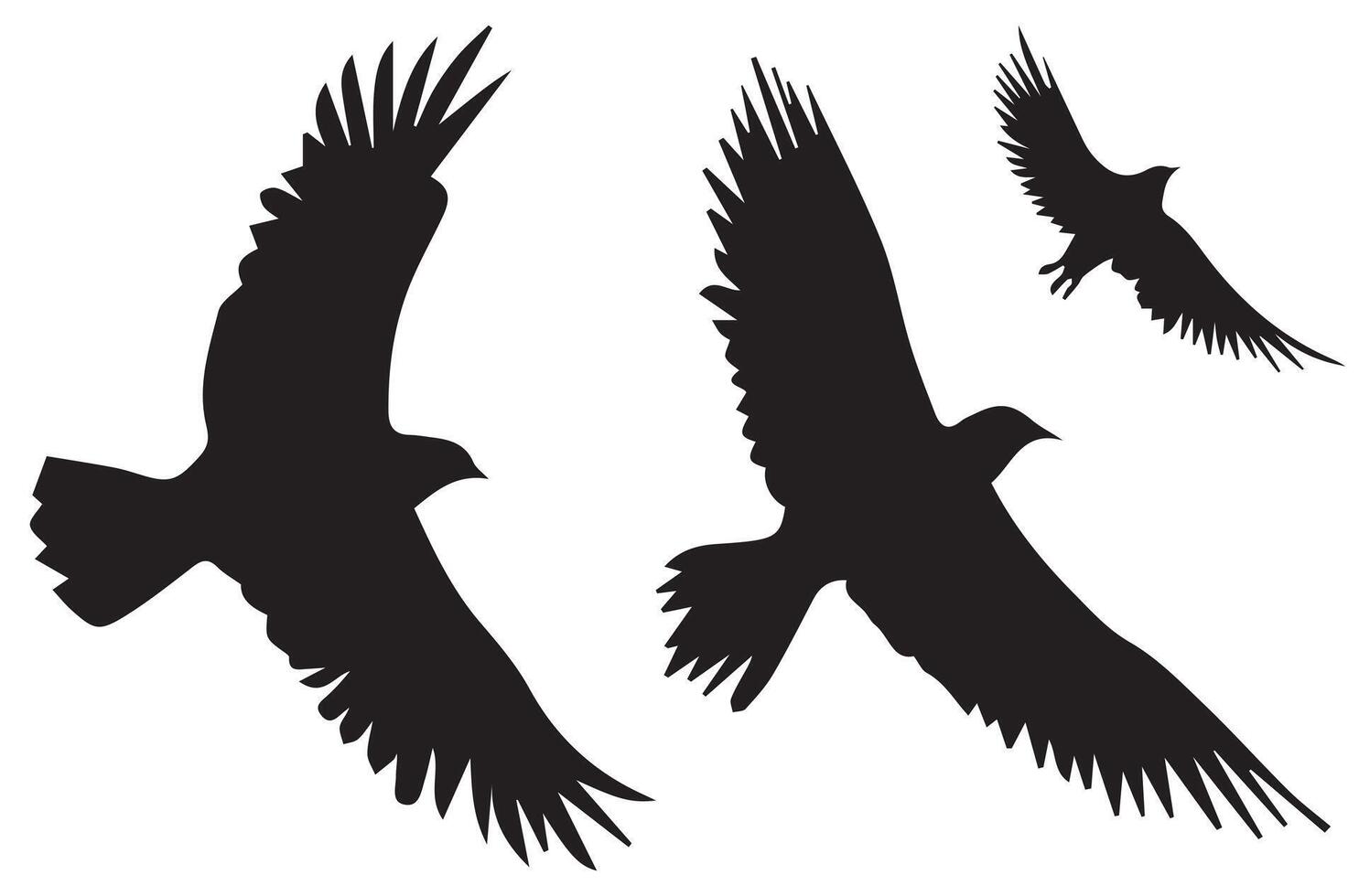 Flying birds silhouettes illustration white background vector