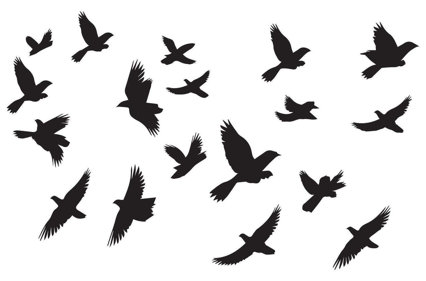 silhouettes flying birds illustration vector