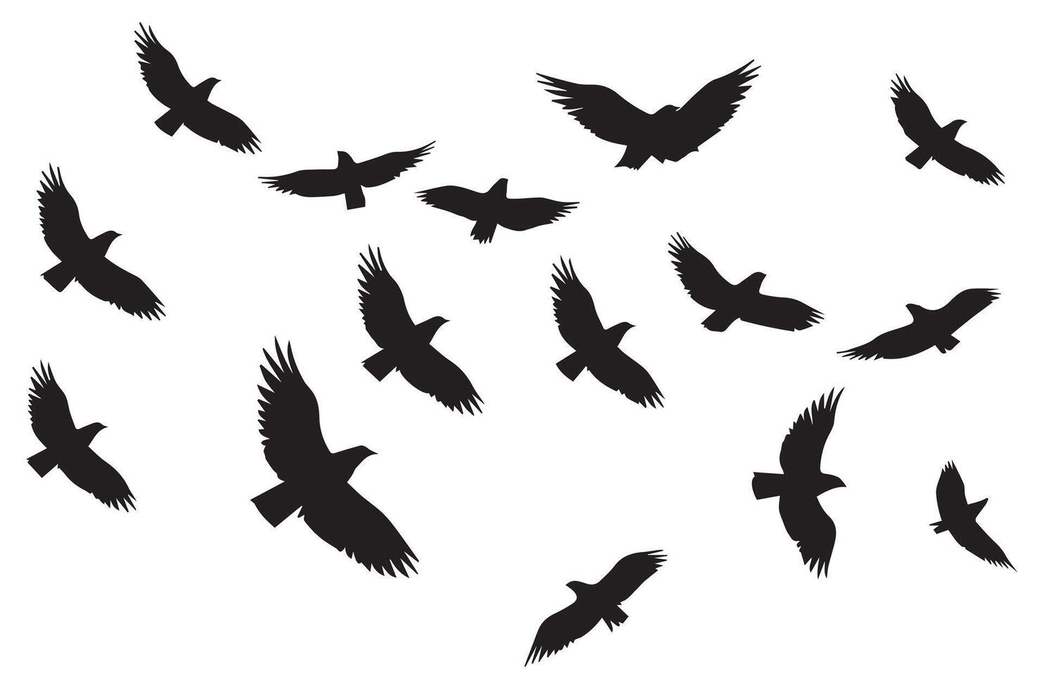 Flying birds silhouettes illustration white background vector