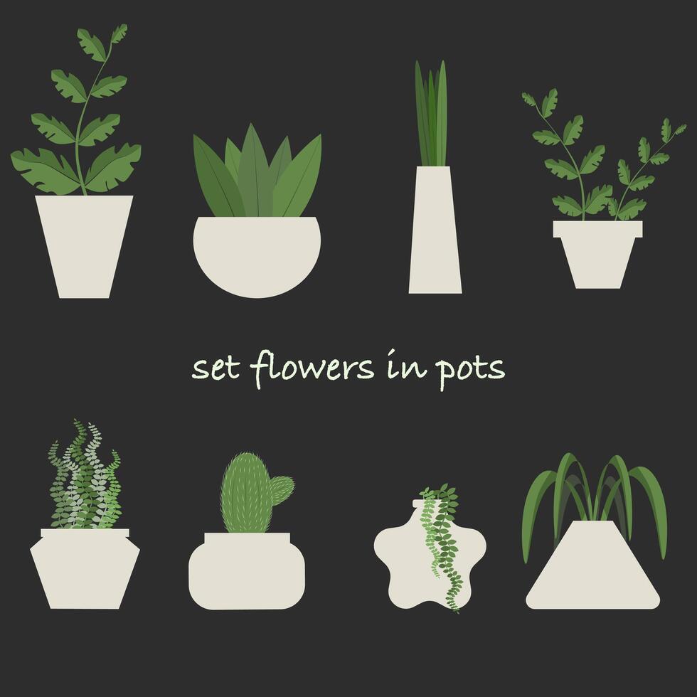 Set of cute flat plants flowers with unusual shaped pots on the black background vector