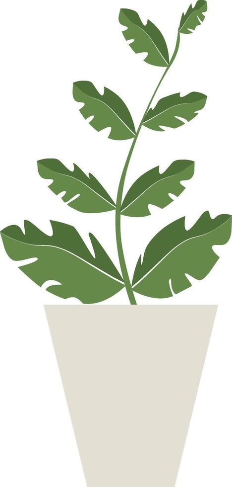 cute flat flower plant in an unusual shaped pot on the white background vector