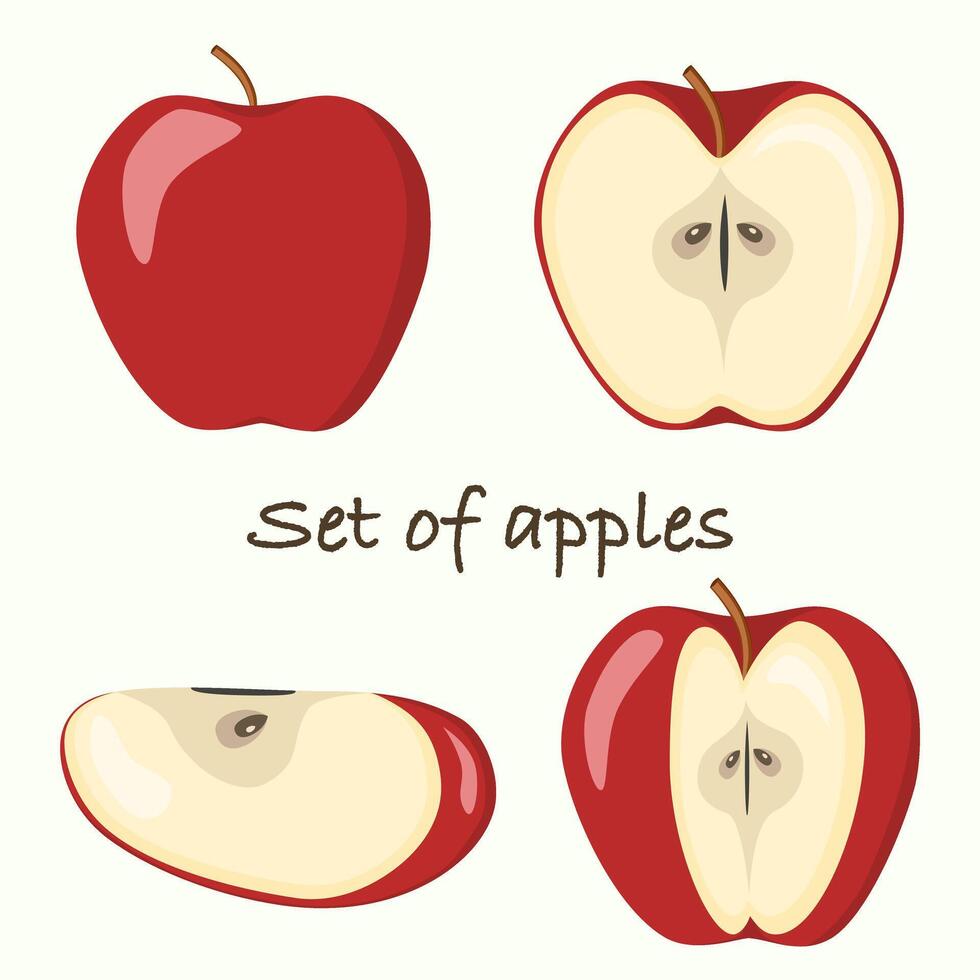 Set of 4 Red apple half apple, fruit slices and pieces in cartoon style. Healthy vegetarian snack food fruit, illustration vector