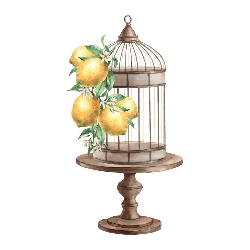 Arrangement of an antique metal birdcage standing on a stand with a branch of yellow lemons. Isolated watercolor drawing in vintage style. Drawing for interior, cards, wedding design, invitations vector