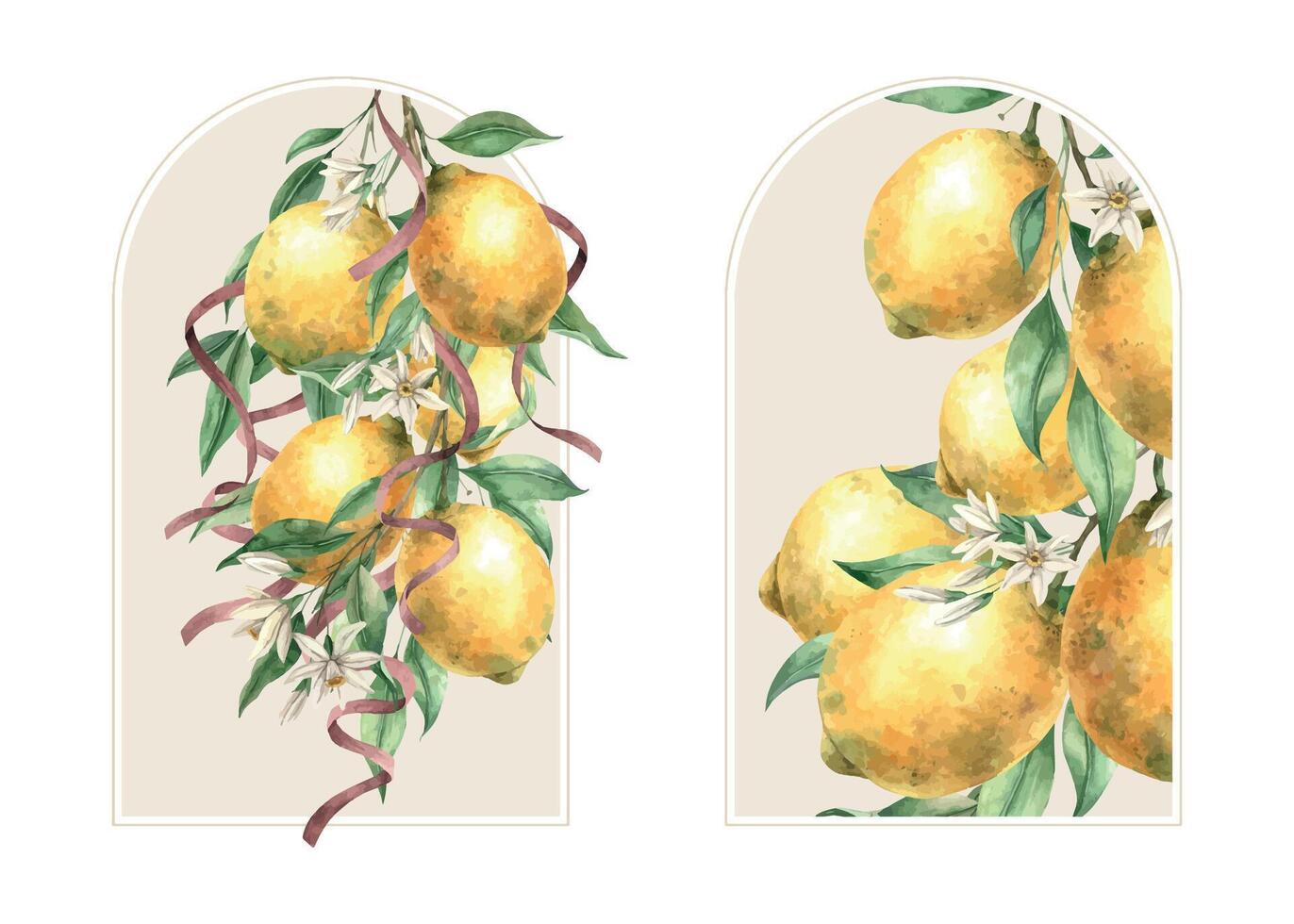 Set of antique beige frames with a branch of yellow lemons, flowers and leaves. Isolated watercolor illustration in vintage style. Composition for decorating cards, wedding design, invitations vector