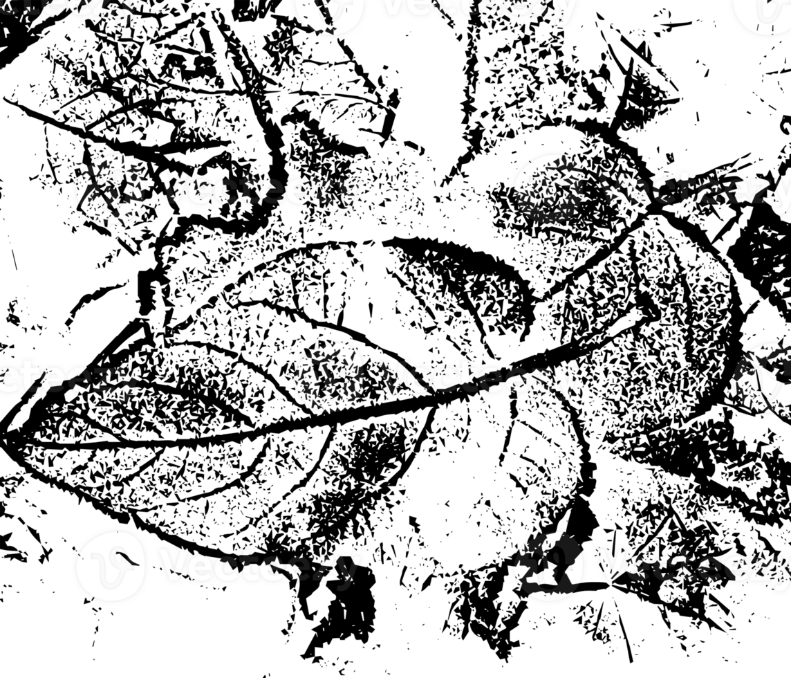 Rustic grunge texture with grain and stains. Abstract noise background. Graphic illustration with transparent background. png