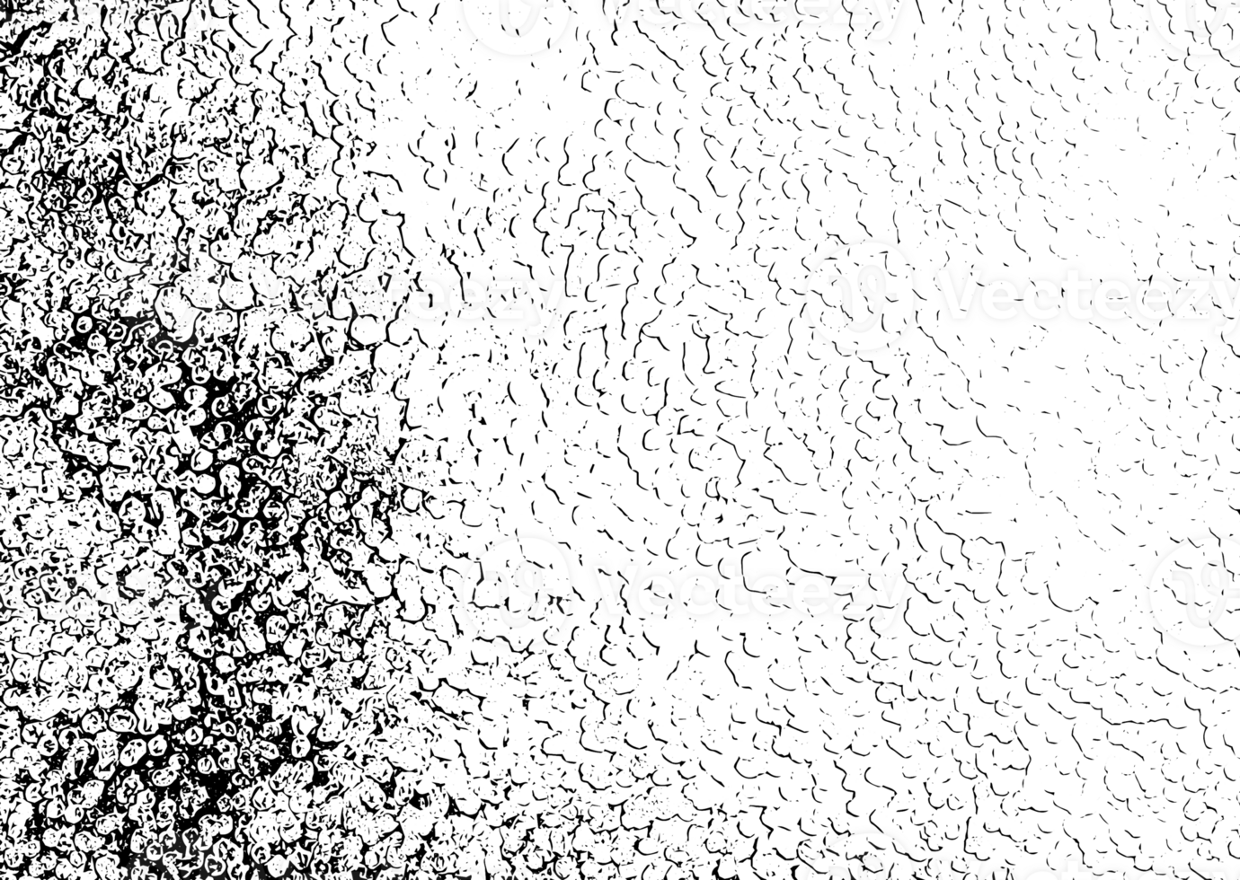 Rustic grunge texture with grain and stains. Abstract noise background. Graphic illustration with transparent background. png