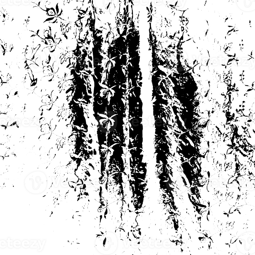 Rustic grunge texture with grain and stains. Abstract noise background. Graphic illustration with transparent background. png