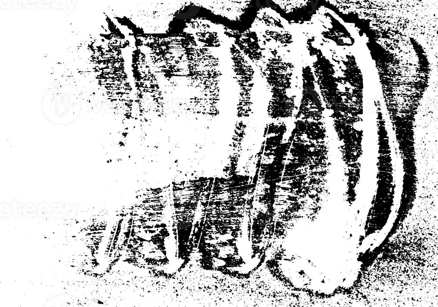 Rustic grunge texture with grain and stains. Abstract noise background. Graphic illustration with transparent background. png