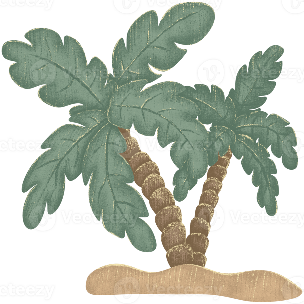 Illustration of two coconut trees png