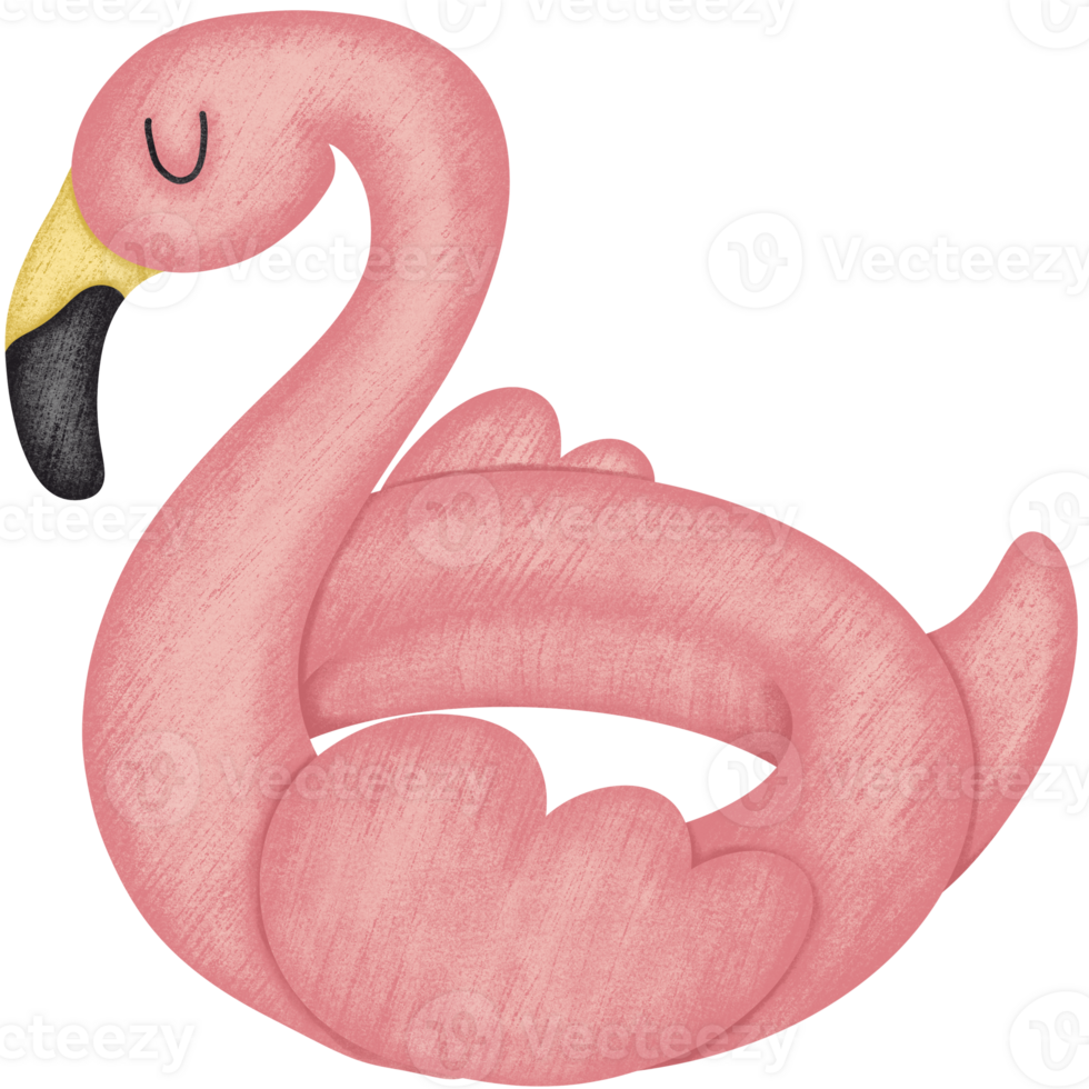 Pink flamingo pool float png