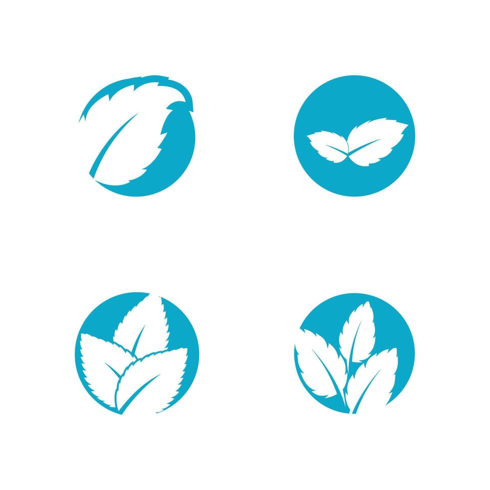 Mint leaf logo template symbol design vector