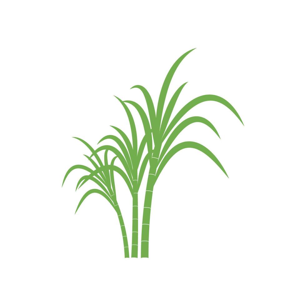 Sugarcane logo template symbol design vector