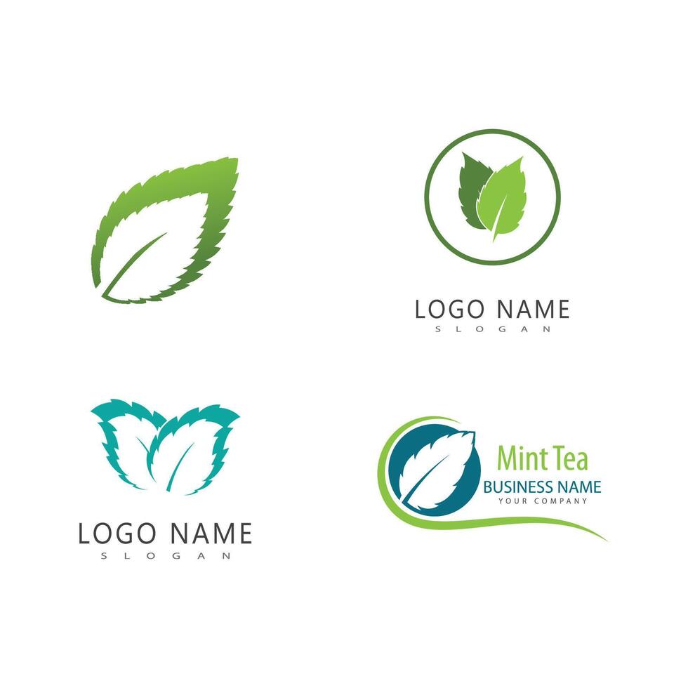 menta hoja logo modelo símbolo diseño vector