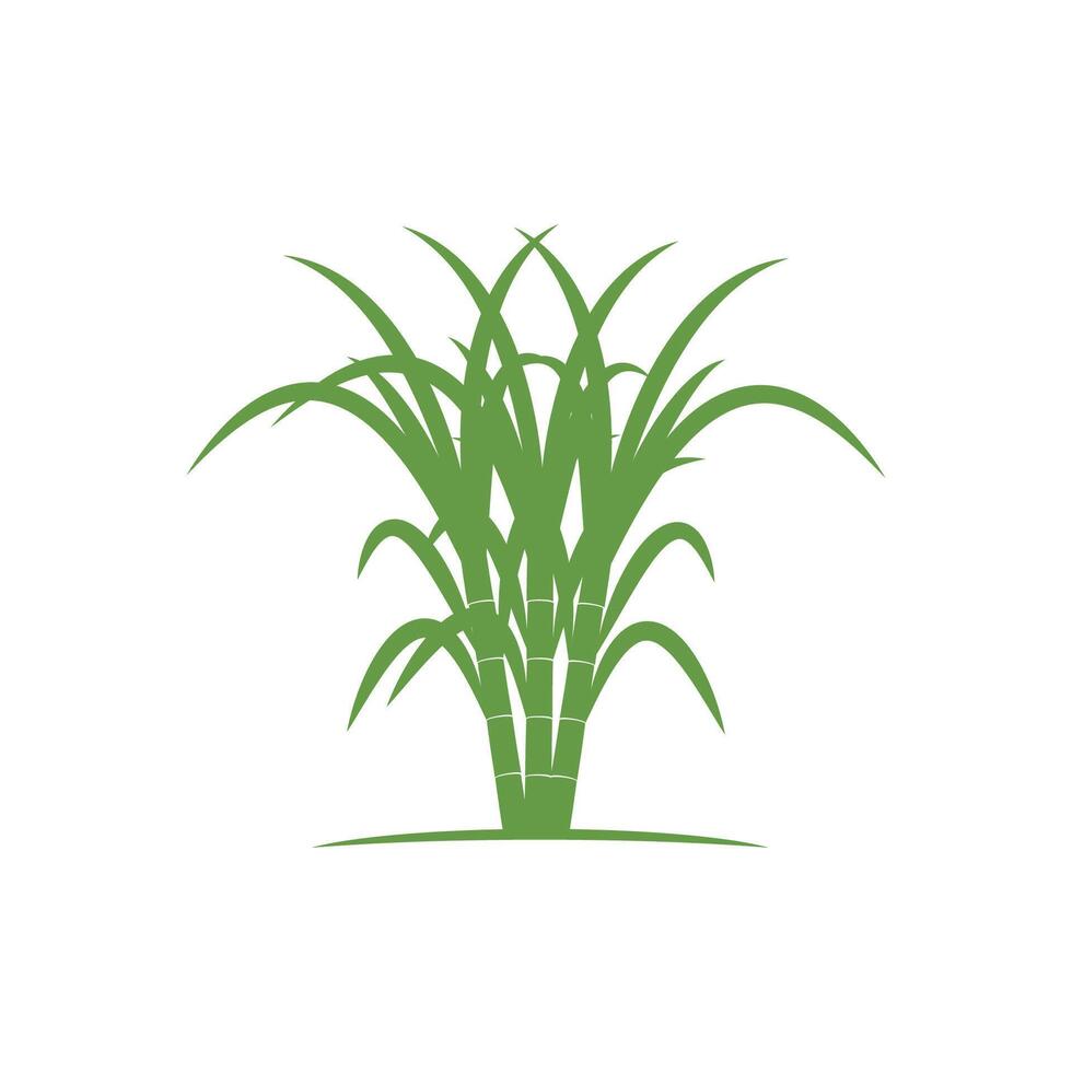 Sugarcane logo template symbol design vector