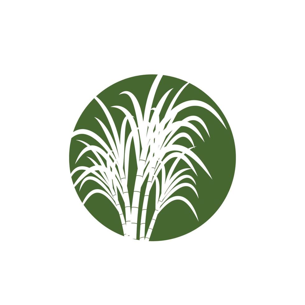 Sugarcane logo template symbol design vector