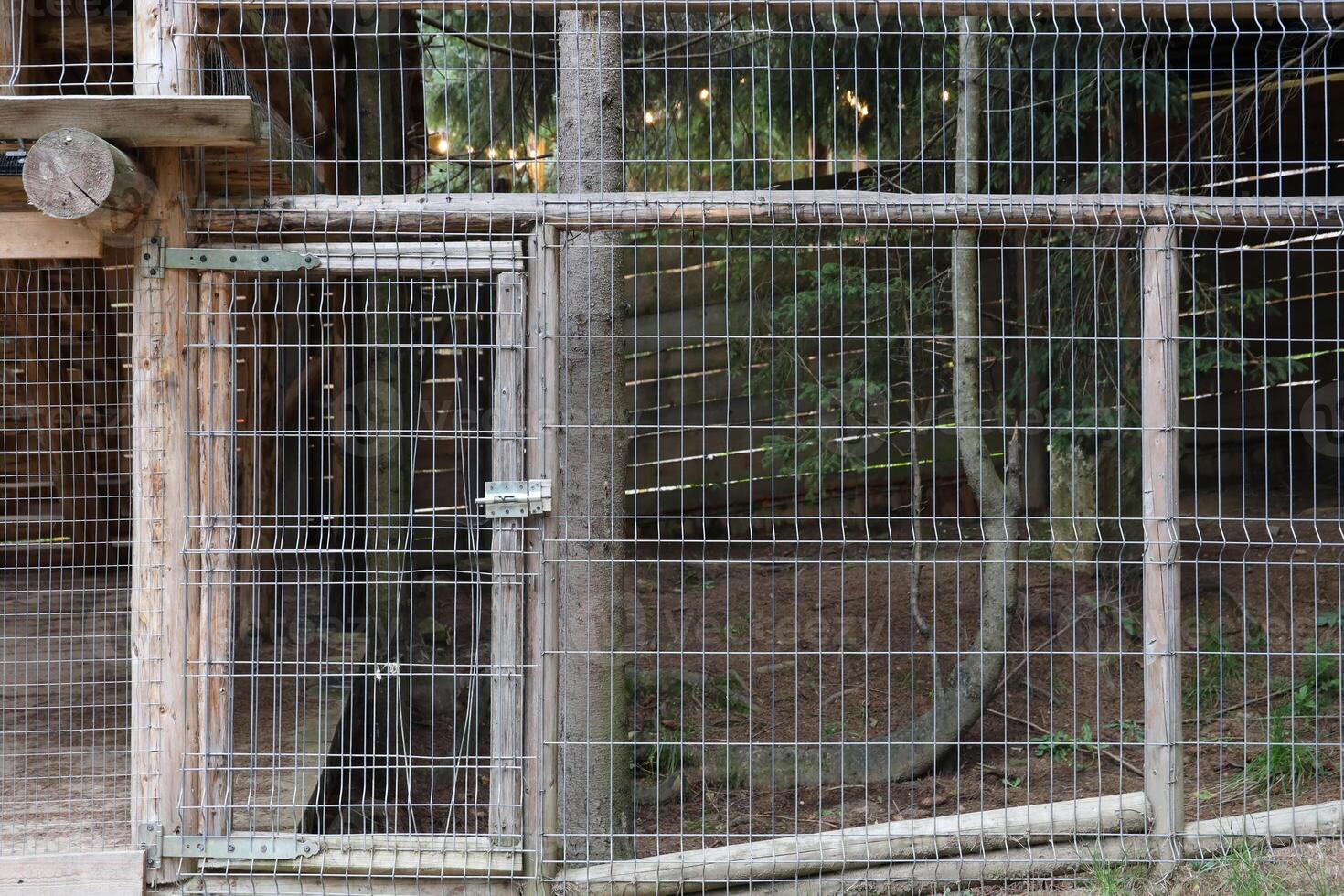 Metal grating and small entrance in zoo territory outdoors photo