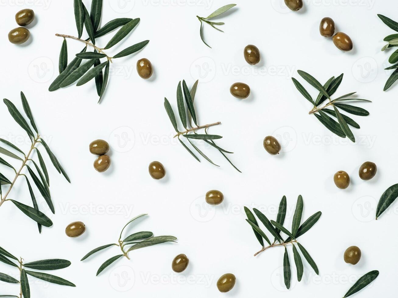 pattern with green olive and branches photo