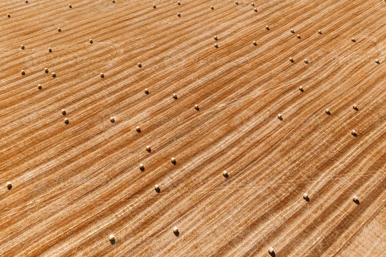 Aerial perspective view of hay bales on agricultural field after harvest. Farm landscape. Drone top view of yellow cut grass striped pattern on field with many velour grasses bales. Dry fodder. Haying photo