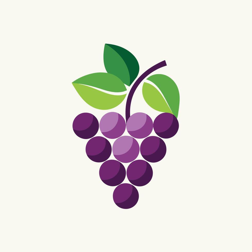 racimo de maduro uvas con Fresco verde hojas en arriba, Listo para cosecha, desarrollar un pulcro logo para un especialidad vino Tienda utilizando solamente un minimalista uva manojo vector