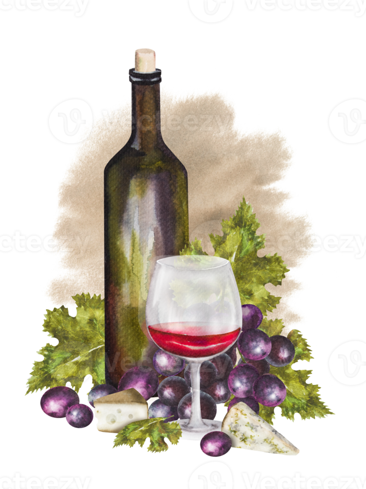 Watercolor illustration, wine composition with a bottle of wine, different types of cheese and grapes. Wine set for various designs. png