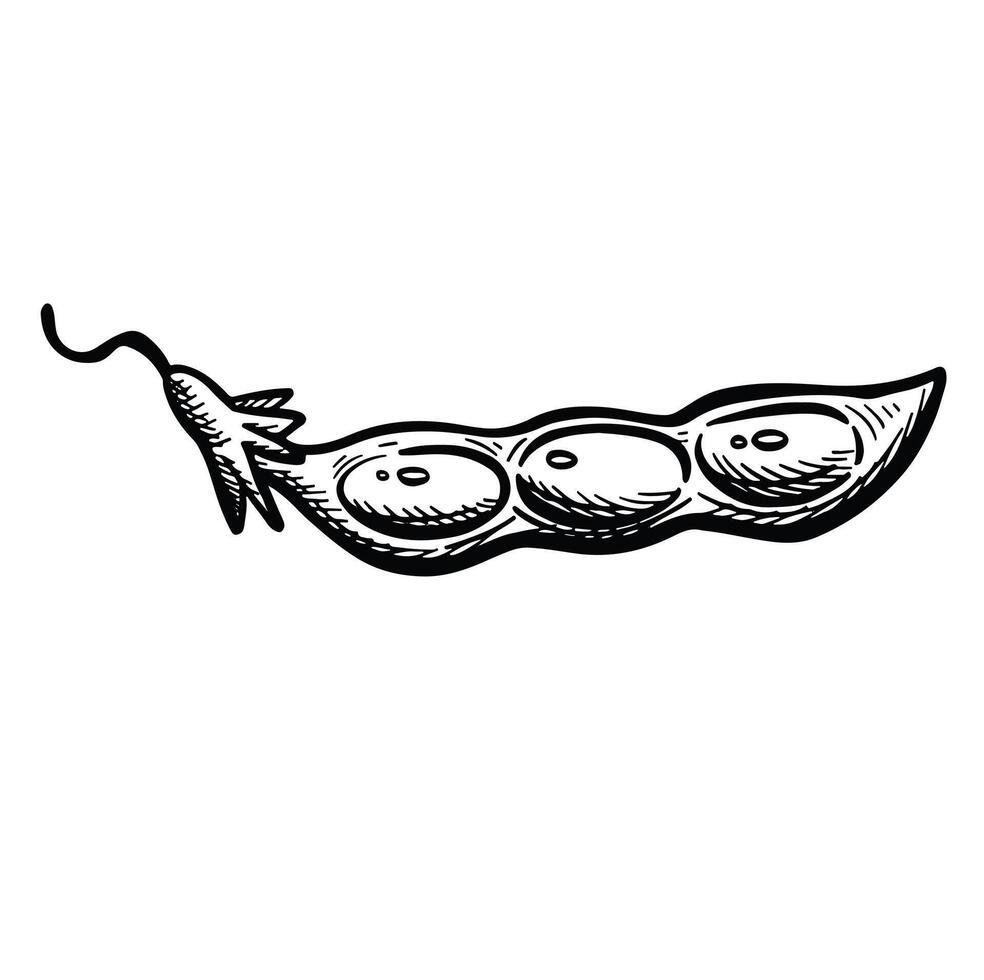 soybean pod symbol outline illustration. vector