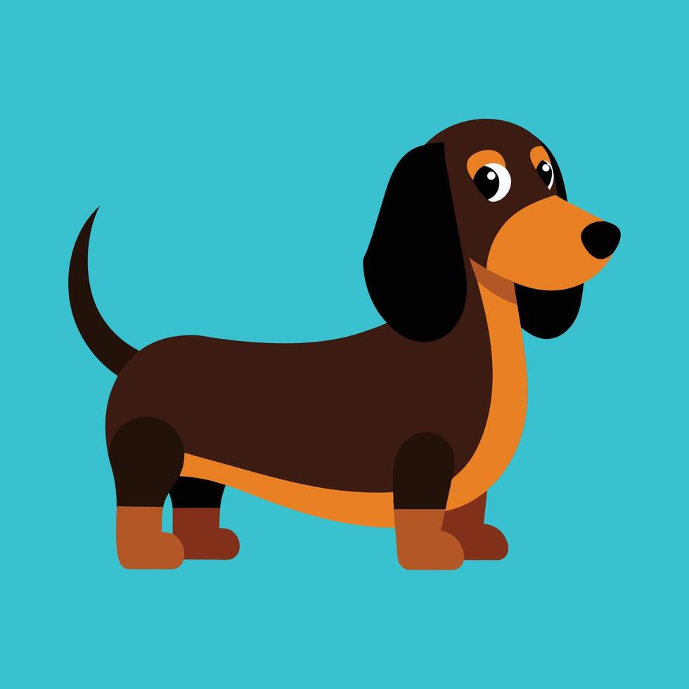 little dachshund dog cartoon animal illustration vector